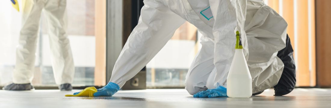 tipos de produtos de limpeza profissional que as empresas precisam